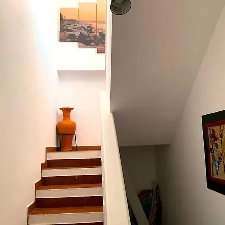 Sunset Odx Nr6